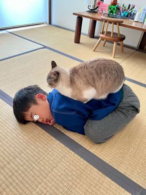 「歯医者に行く時間なのですが…」　部屋を覗いたら、猫「ダメです」