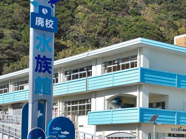 『謝罪文』を投稿した水族館　内容に吹き出す人が続出！