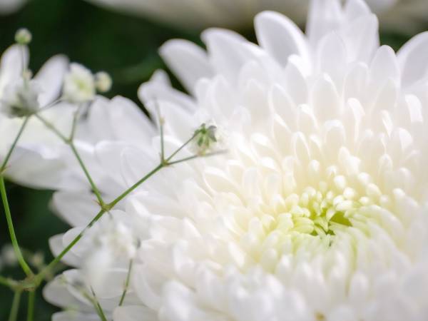 俳優・時代吉二郎さんが逝去　「素晴らしい役者だった」「時代駅の悪役といえばこの方」