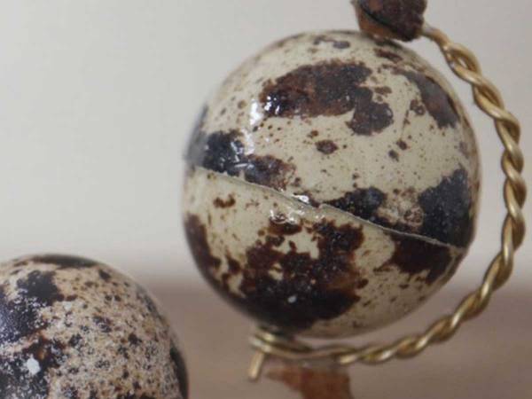 「アイディアも技術も脱帽」　クラシックな地球儀に隠された『秘密』とは？