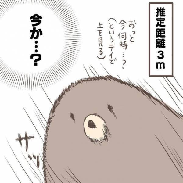 「めっちゃ分かる」「私もこんな目つきしてる」　赤ちゃんを見つけるとスイッチが入る人の技