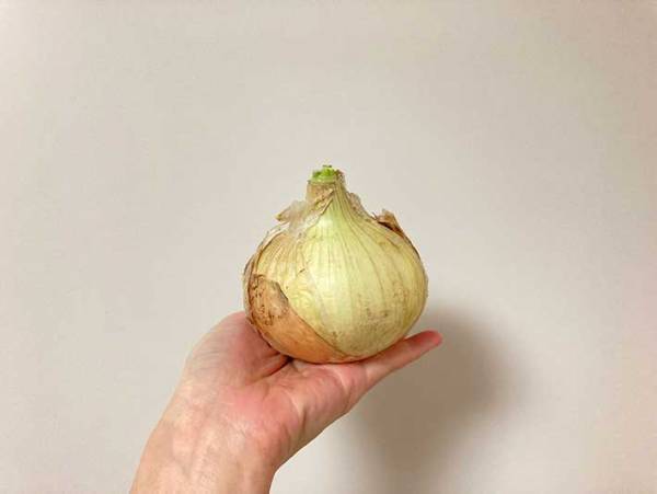 新玉ねぎをひと玉炊飯　JA全農のレシピに「こんなの絶対においしいじゃん…」