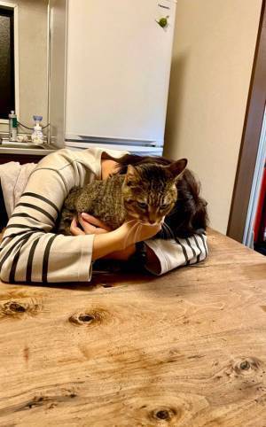 「吹き出しました！」「我が家ならかまれる」　飼い主に抱きしめられた猫が、まるで？