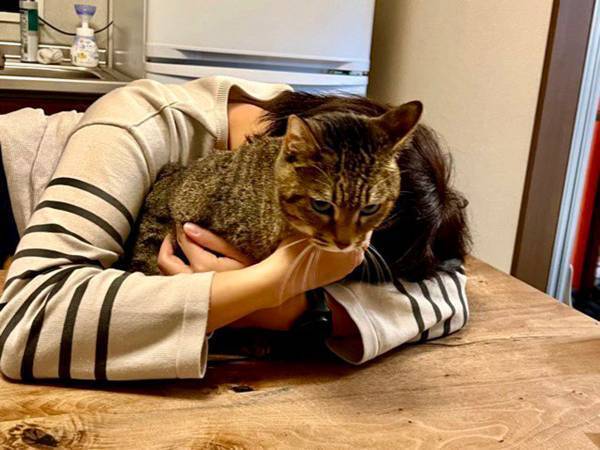 「吹き出しました！」「我が家ならかまれる」　飼い主に抱きしめられた猫が、まるで？