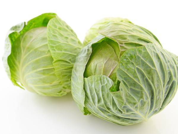 ミツカンおすすめ『レンジで無限キャベツ』が気になる！　春キャベツにもおすすめ