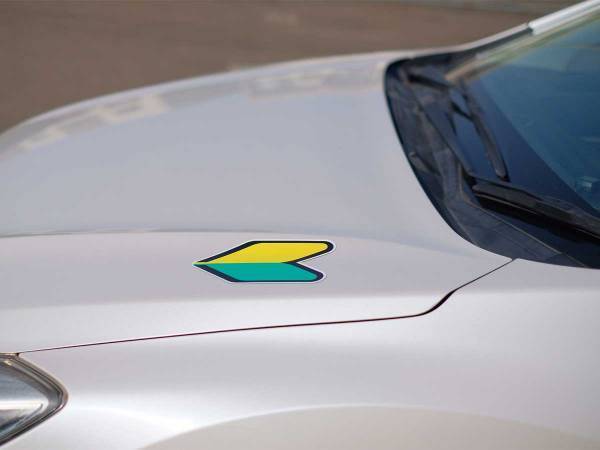 車庫入れを練習したくて、母親に頼んだら？　返事が辛辣すぎた