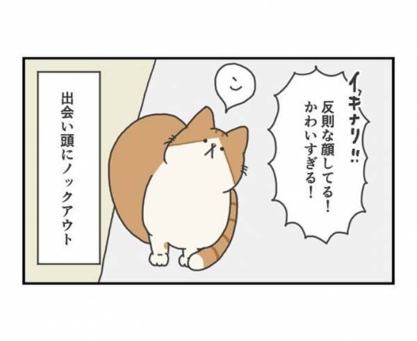 探していた愛猫とドアを開けたら『鉢合わせ』　その表情に「とろける」「反則」
