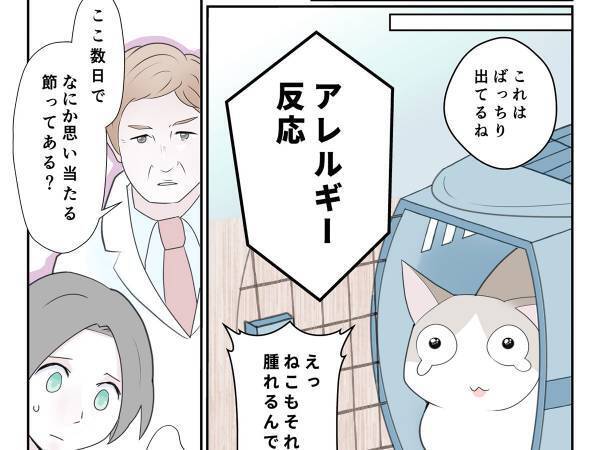 その段ボールも危険かもしれません　飼い主の『過ち』に「気を付けます」