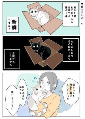 その段ボールも危険かもしれません　飼い主の『過ち』に「気を付けます」