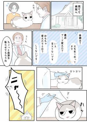 その段ボールも危険かもしれません　飼い主の『過ち』に「気を付けます」