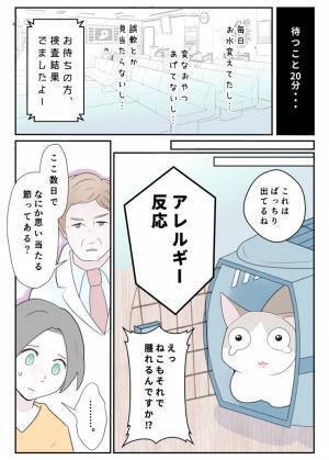 その段ボールも危険かもしれません　飼い主の『過ち』に「気を付けます」