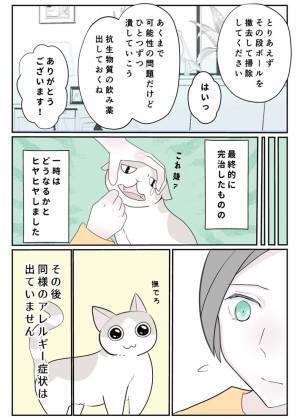 その段ボールも危険かもしれません　飼い主の『過ち』に「気を付けます」