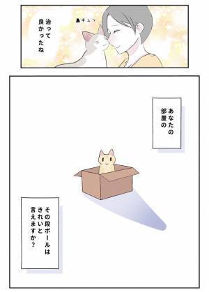 その段ボールも危険かもしれません　飼い主の『過ち』に「気を付けます」