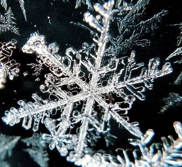 悪役は○○だった！　ある童話と『アナと雪の女王』をめぐる驚きの憶測