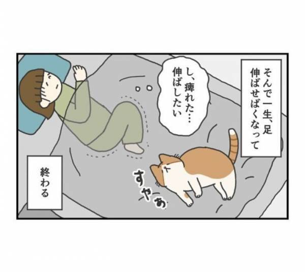 猫好きの宿命！？　布団に入ると起きる現象に「とても分かる」「毎晩これ」