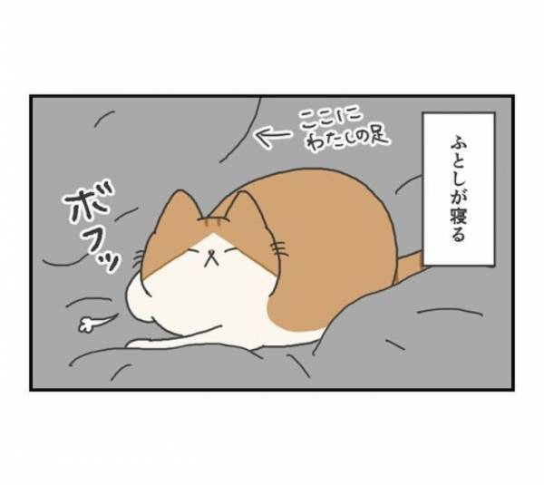 猫好きの宿命！？　布団に入ると起きる現象に「とても分かる」「毎晩これ」