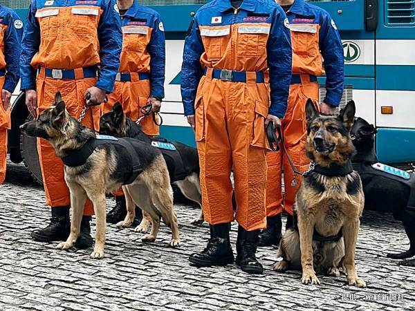 被災地トルコで救助活動した警備犬　ごほうび受け取る様子に、癒される！