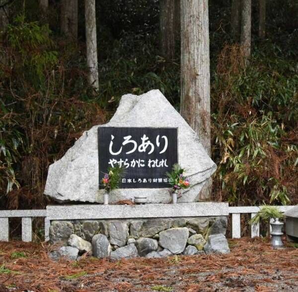 「人間生活と相容れないために…」　和歌山県で撮影された『お墓』の謎に迫る