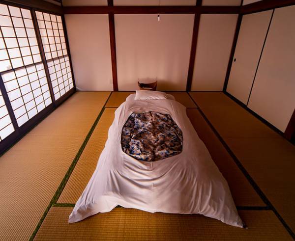 【『大奥』感想８話】片岡愛之助・風間俊介・中島裕翔、演技派の男たちが照らす孤高の女の魅力