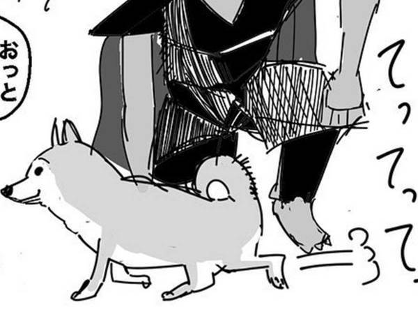 ある場所を横切った犬　その後恐ろしい状況に陥るも、嬉しそうなワケとは…