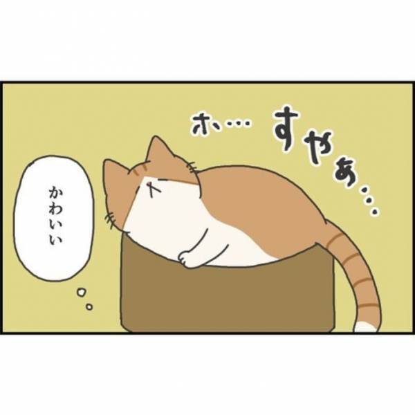 猫が薄目でこちらを見ている！　その理由に「かわいすぎる」「飼い主が大好きなんだね」