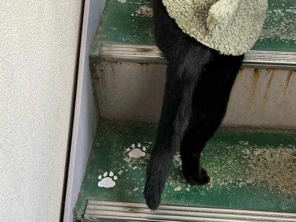 大家から「アパートに描いて」と依頼された画家　階段やポストに描いたのは？