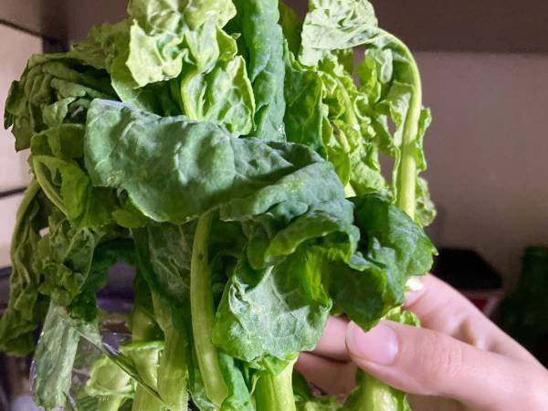 しなびた菜の花を水に浸し回復を期待　結果に「声に出して笑ったわ！」