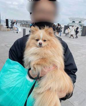 第一志望と第三志望の人物に抱っこされた犬　『表情の差』に吹き出す