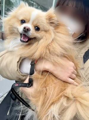 第一志望と第三志望の人物に抱っこされた犬　『表情の差』に吹き出す