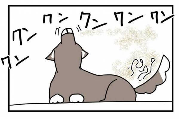 「人のせいにするな！」　室内をクンクンした犬に、飼い主がツッコミ