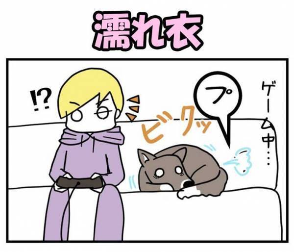 「人のせいにするな！」　室内をクンクンした犬に、飼い主がツッコミ