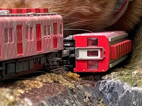 『猫崩れ』により電車が運転見合わせ　現場の様子をご覧ください