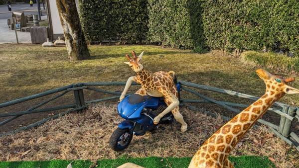 公園にあったキリンのオブジェ　「見た瞬間爆笑したわ！」「ナイスキリン」