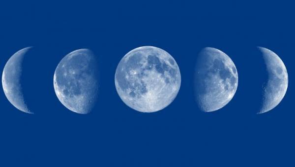 月を◯◯に例えて「上弦」「下弦」と呼ぶ！　鬼のランクの由来を知ろう