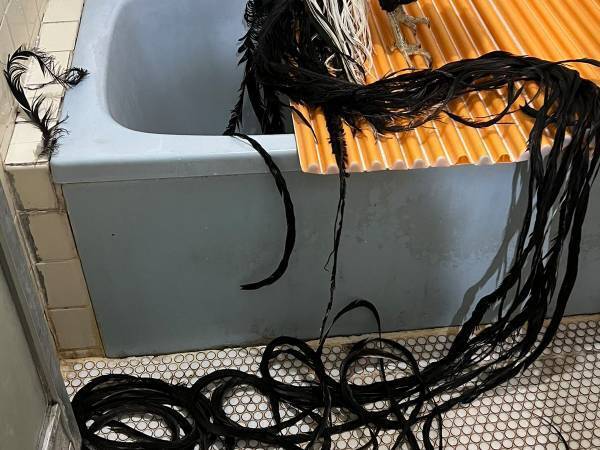 風呂場に広がる『長すぎる黒い毛』　その正体に「すげえ！」「ビックリした」