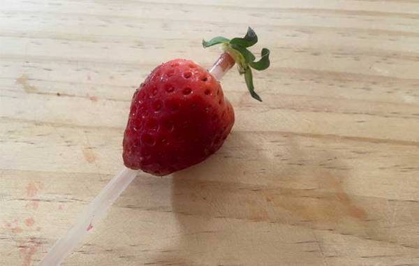 包丁いらず！　イチゴのヘタを取る『意外な方法』に「なるほど！」「これはクセになる」