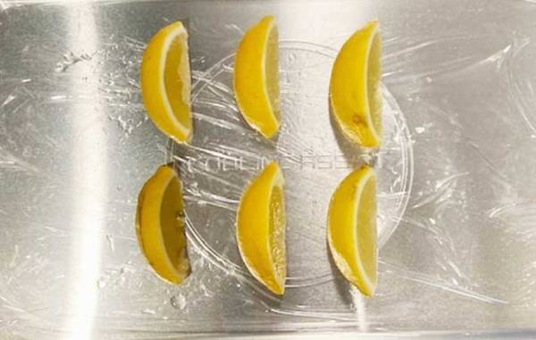 ストックしておくと便利！　すぐできる『冷凍レモン』の作り方