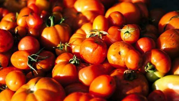 画面がトマトだらけに！？　今すぐ誰かに教えたくなる『Google検索の裏技』とは？