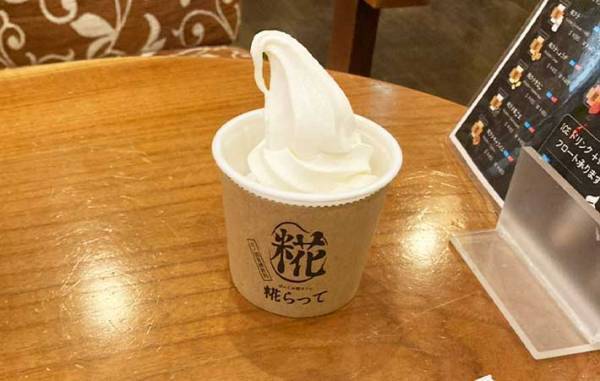 ポイントを使ってお得に旅行ができちゃう！　JR東日本の『どこかにビューーン！』を利用してみた