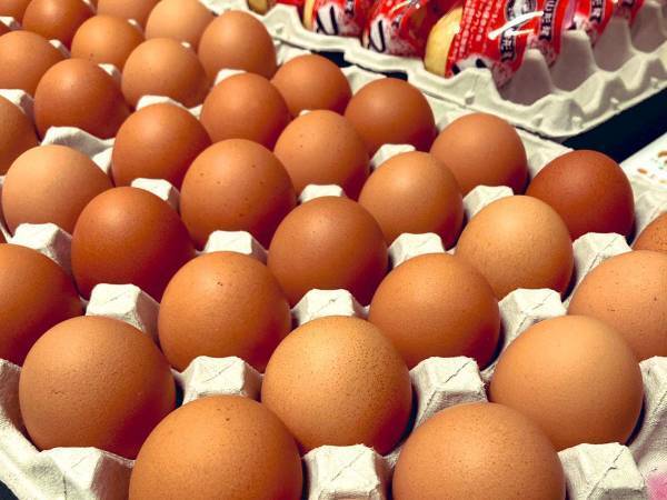 「卵が高すぎる、ぼったくりだ！」と言われた生産者　涙の訴えに「つらすぎる」「応援します」