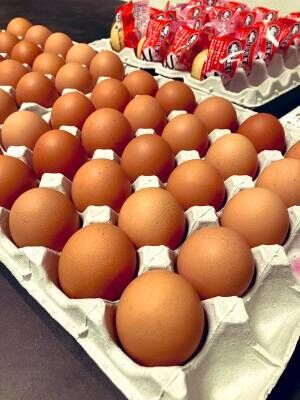 「卵が高すぎる、ぼったくりだ！」と言われた生産者　涙の訴えに「つらすぎる」「応援します」