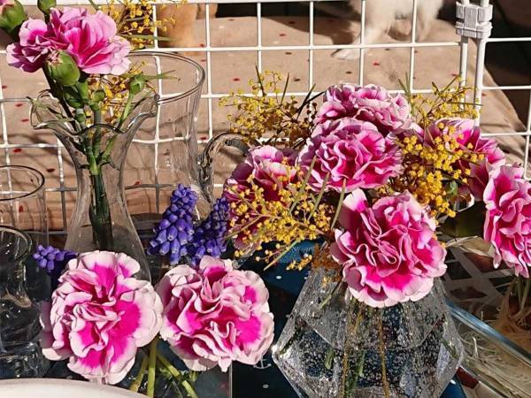 庭に咲いた花を写した１枚だが…？　「後ろ、後ろーーー！！」「背景が気になりすぎる」