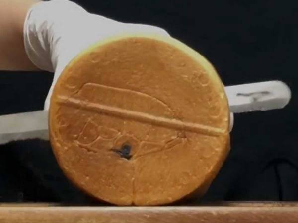 「笑う」「想像と違った」　パンを切ると、ある動物の顔が！　思わず笑ってしまう『表情』とは