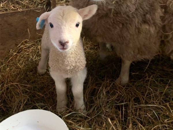 「悶えるぐらいかわいい」　ある親子のツーショットに６万人が『いいね』