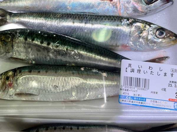 イワシが入ったパックに１匹だけ…？　「しれっとまぎれている」「全然分からなかった」