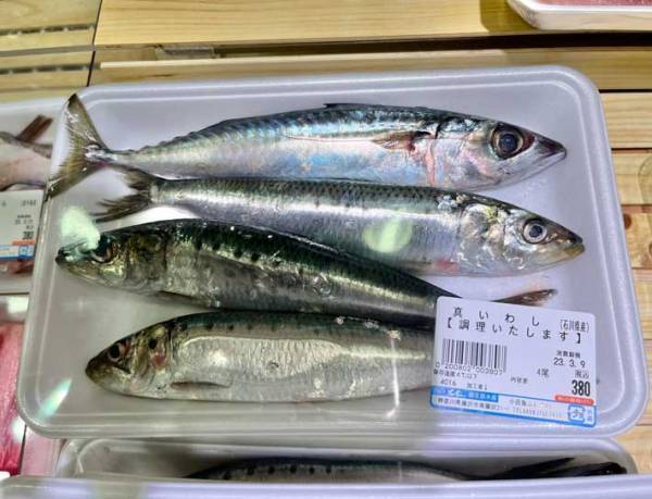 イワシが入ったパックに１匹だけ…？　「しれっとまぎれている」「全然分からなかった」
