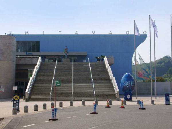 あっさり自動ドアを通過するアルマジロ　「通り慣れてるな」「どこ行くの～！」