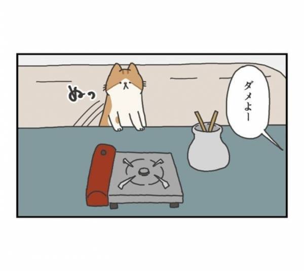 鍋の準備中に忍び寄る猫！　何をするかと思ったら…？