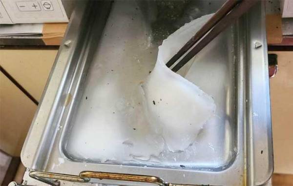 魚焼きグリルの汚れを『簡単に片づける方法』　「めっちゃ気持ちいい」「ずっとこれやる」