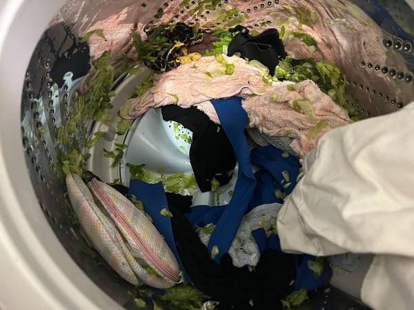 「まじ最悪なんだけど！」　自宅で起きた悲劇に「あるあ…ないよ」「理解が追い付かない」